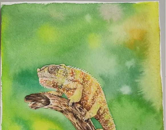 Was ist Unterschied zwischen Gouache -Farbe, Ölfarbe, Acrylfarbe und Aquarellfarbe?